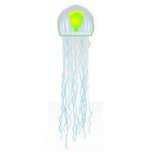 Green Immortal Jellyfish